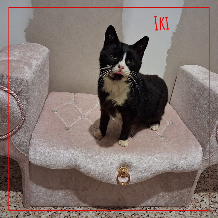 Iki