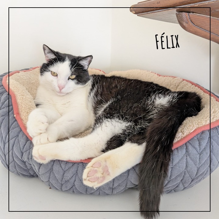 Félix