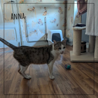 Anna